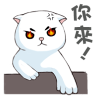 Scottish Fold-White Rabbit sticker #6195739