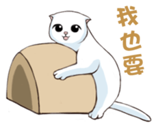 Scottish Fold-White Rabbit sticker #6195743