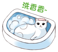Scottish Fold-White Rabbit sticker #6195751