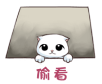 Scottish Fold-White Rabbit sticker #6195753