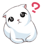 Scottish Fold-White Rabbit sticker #6195756