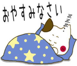 Sticker.rabbit and tabby cat2 sticker #6196203