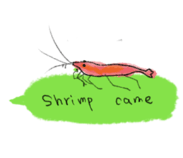 The Shrimp(English) sticker #6196586