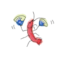 The Shrimp(English) sticker #6196592