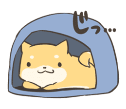 a lazy Shiba Inu sticker #6197527