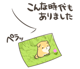 a lazy Shiba Inu sticker #6197540
