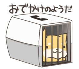 a lazy Shiba Inu sticker #6197546