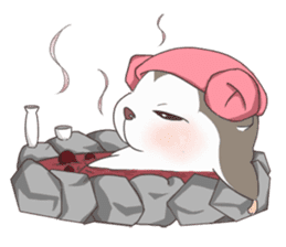 Hamster's diary sticker #6200770