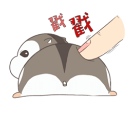 Hamster's diary sticker #6200790