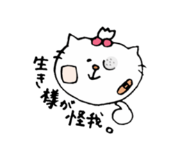 Cat daily belonging to the rugby club. sticker #6201037