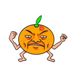 Middle-aged man of oranges sticker #6201404