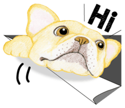 THE Funny French bulldogs (English) sticker #6202583