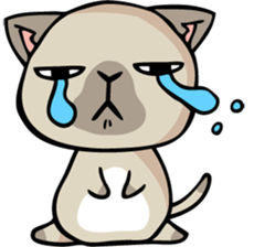 mamecat1 english sticker #6203562