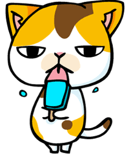 mamecat1 english sticker #6203566