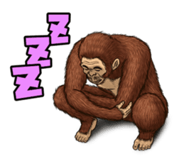 Australopithecus lie-in sticker #6203992