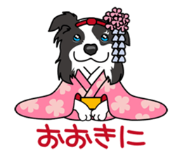 BORDERCOLLIE in KANSAI @ SURFBORDER sticker #6204449