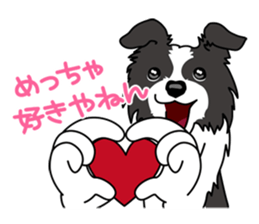 BORDERCOLLIE in KANSAI @ SURFBORDER sticker #6204450