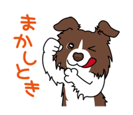 BORDERCOLLIE in KANSAI @ SURFBORDER sticker #6204451