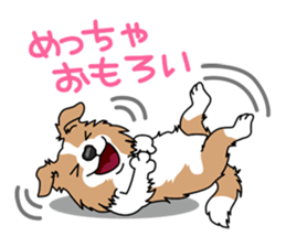 BORDERCOLLIE in KANSAI @ SURFBORDER sticker #6204452