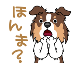 BORDERCOLLIE in KANSAI @ SURFBORDER sticker #6204453