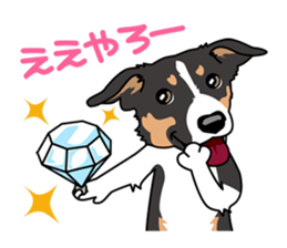 BORDERCOLLIE in KANSAI @ SURFBORDER sticker #6204454