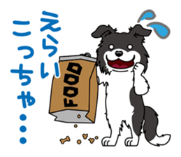 BORDERCOLLIE in KANSAI @ SURFBORDER sticker #6204457