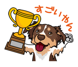 BORDERCOLLIE in KANSAI @ SURFBORDER sticker #6204458