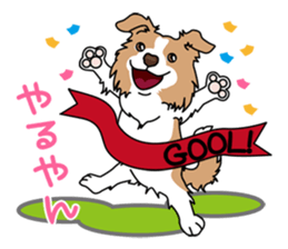 BORDERCOLLIE in KANSAI @ SURFBORDER sticker #6204459