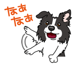 BORDERCOLLIE in KANSAI @ SURFBORDER sticker #6204460