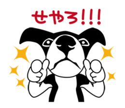 BORDERCOLLIE in KANSAI @ SURFBORDER sticker #6204461