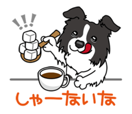 BORDERCOLLIE in KANSAI @ SURFBORDER sticker #6204463