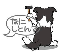 BORDERCOLLIE in KANSAI @ SURFBORDER sticker #6204464