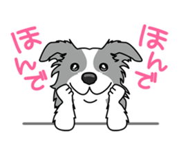 BORDERCOLLIE in KANSAI @ SURFBORDER sticker #6204465