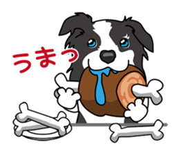 BORDERCOLLIE in KANSAI @ SURFBORDER sticker #6204467