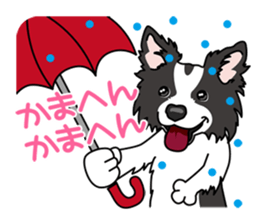 BORDERCOLLIE in KANSAI @ SURFBORDER sticker #6204468