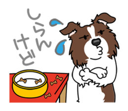 BORDERCOLLIE in KANSAI @ SURFBORDER sticker #6204469