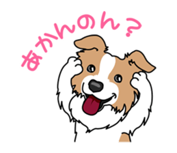 BORDERCOLLIE in KANSAI @ SURFBORDER sticker #6204470