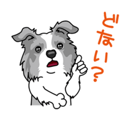 BORDERCOLLIE in KANSAI @ SURFBORDER sticker #6204471