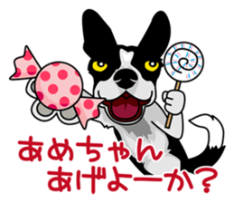 BORDERCOLLIE in KANSAI @ SURFBORDER sticker #6204472