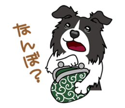 BORDERCOLLIE in KANSAI @ SURFBORDER sticker #6204473