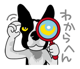 BORDERCOLLIE in KANSAI @ SURFBORDER sticker #6204474