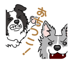BORDERCOLLIE in KANSAI @ SURFBORDER sticker #6204475