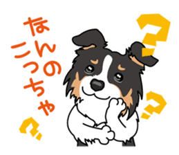 BORDERCOLLIE in KANSAI @ SURFBORDER sticker #6204476