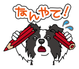 BORDERCOLLIE in KANSAI @ SURFBORDER sticker #6204477