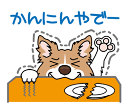 BORDERCOLLIE in KANSAI @ SURFBORDER sticker #6204479