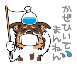 BORDERCOLLIE in KANSAI @ SURFBORDER sticker #6204481