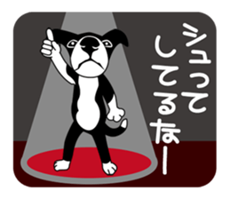 BORDERCOLLIE in KANSAI @ SURFBORDER sticker #6204484