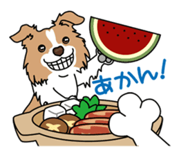 BORDERCOLLIE in KANSAI @ SURFBORDER sticker #6204486