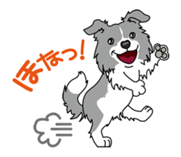 BORDERCOLLIE in KANSAI @ SURFBORDER sticker #6204487