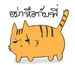 Meawhere sticker #6205366